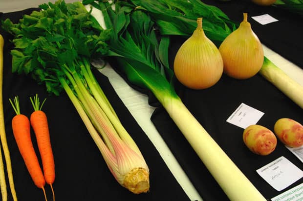 2 carrots, celery, leek, onions and two potatoes at Village Show